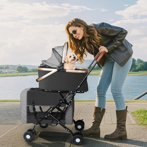 Double Pet Stroller (Black)