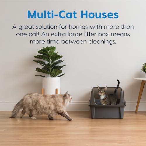 XX Large High Sided Cat Litter Box (XXL / Gray)