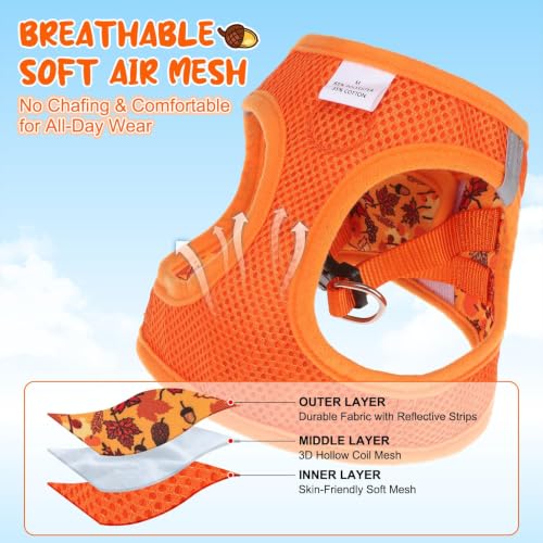 Small Dog Harness and Leash Set (Medium(Chest Girth 16" - 18") / Autumn)