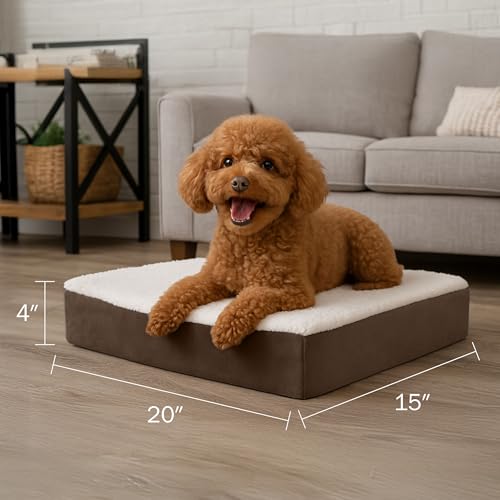 Orthopedic Dog Bed (Brown / Small)