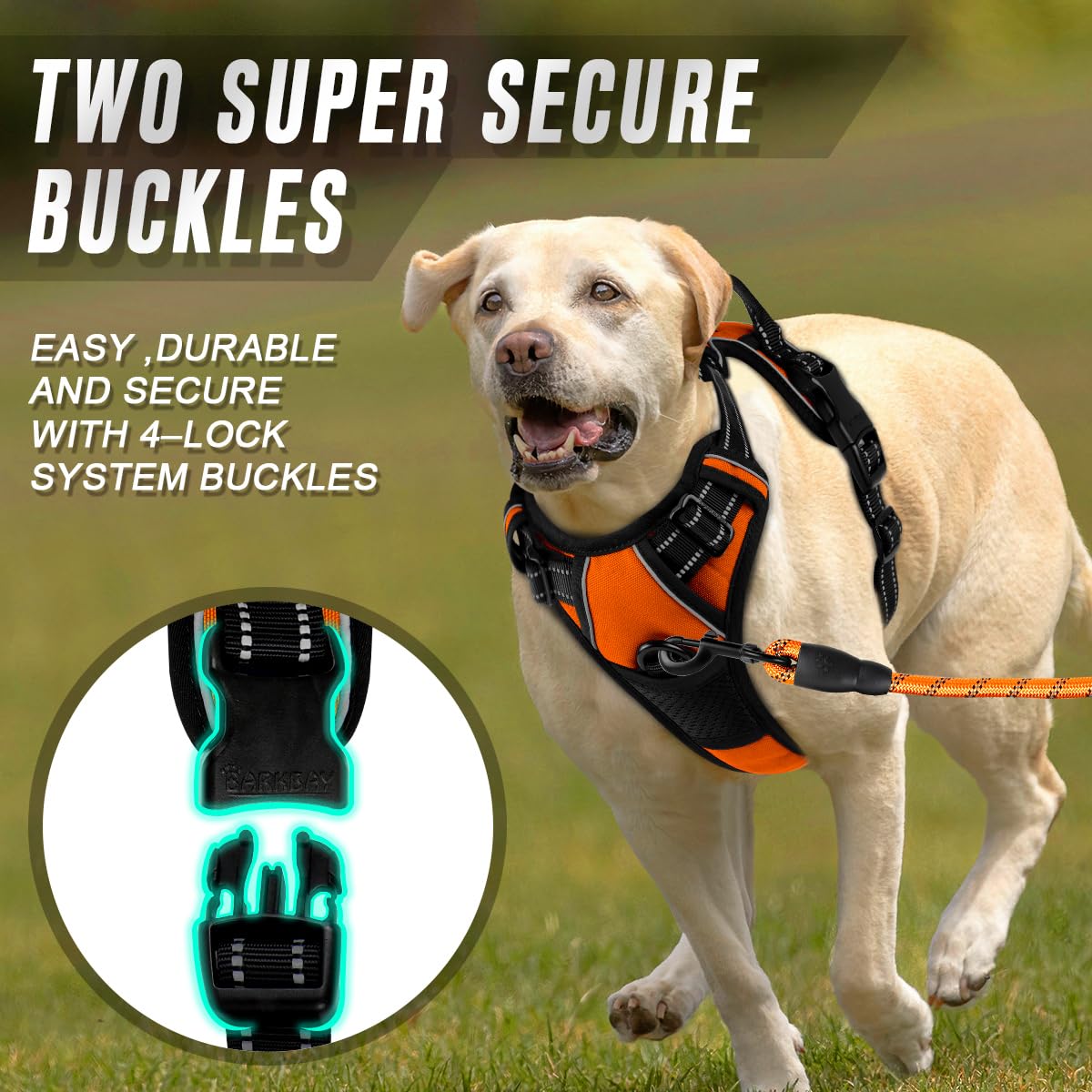 Dog Harness No Pull for Large Dogs Front Back Clips (Large(Chest:24.5-32.5") / Orange)