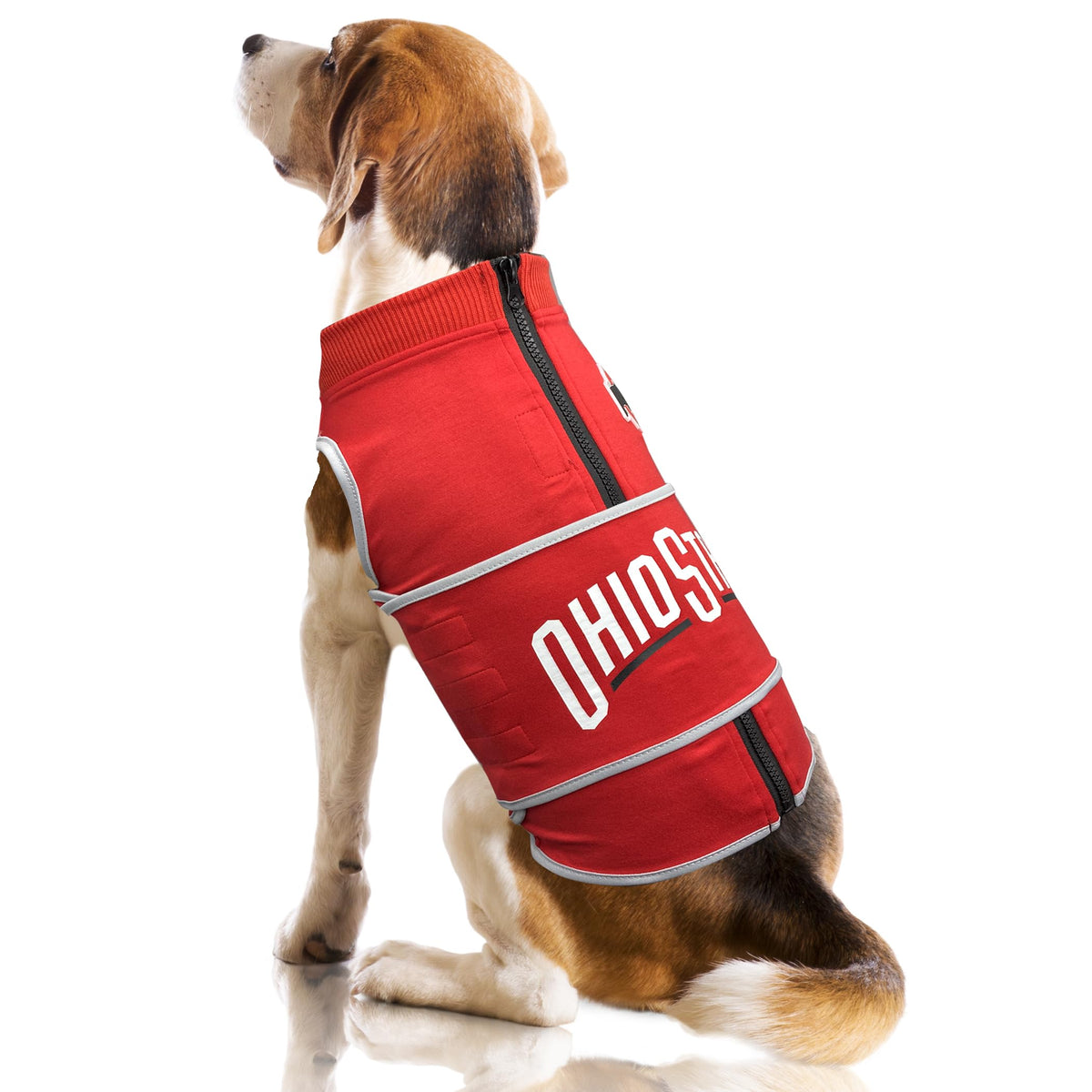 NCAA Ohio State Buckeyes Dog Anxiety Shirt Calming Soothing Vest (Large / Ohio State Buckeyes)