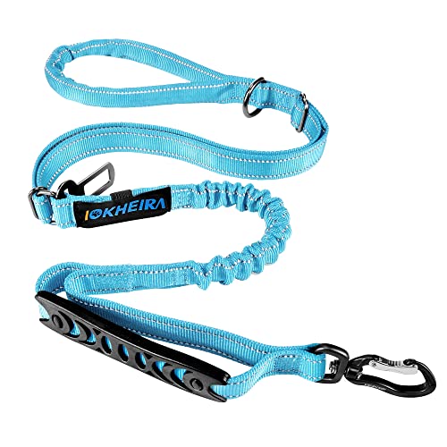 Multifunctional Dog Leash (Light Blue)