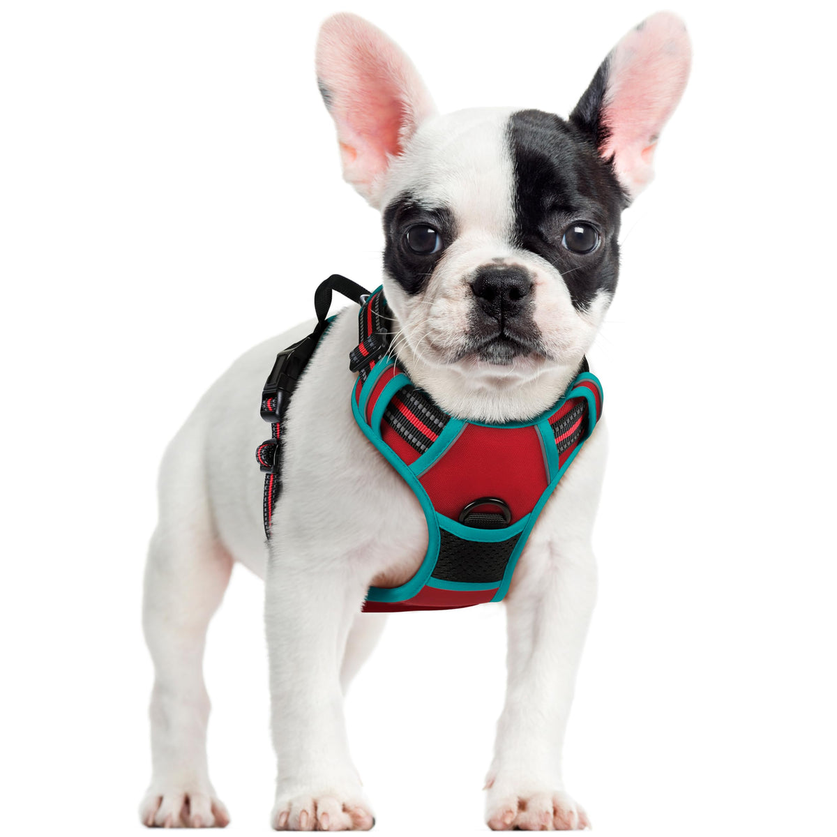 Dog Harness No Pull for Small Dogs with 2 Leash Clips (Red & Teal / Small)