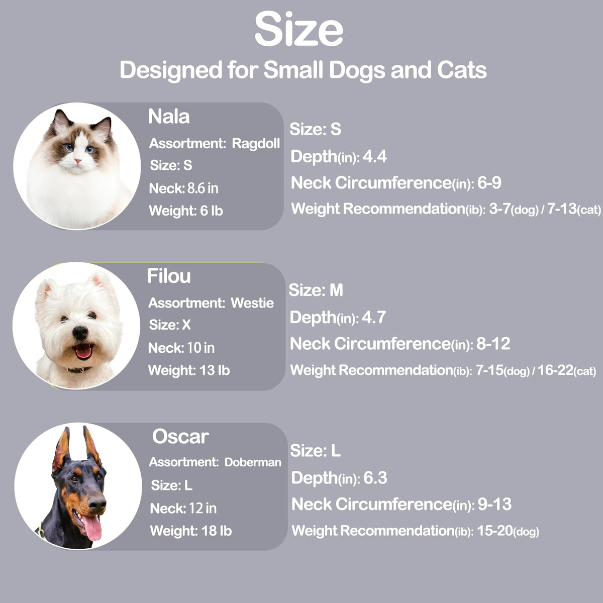 Dog Cone Collar Adjustable After Surgery (Gray / (Neck:8"-10"))