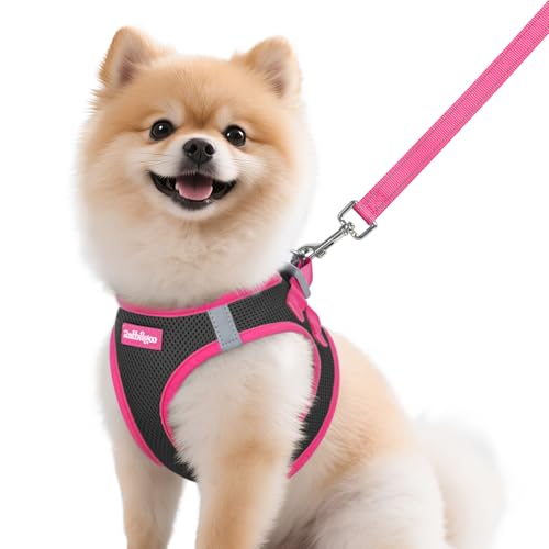 Dog Harness Small Sized and Leash Set (Black & Rose Red / M (Chest: 16.0"-18.5"))