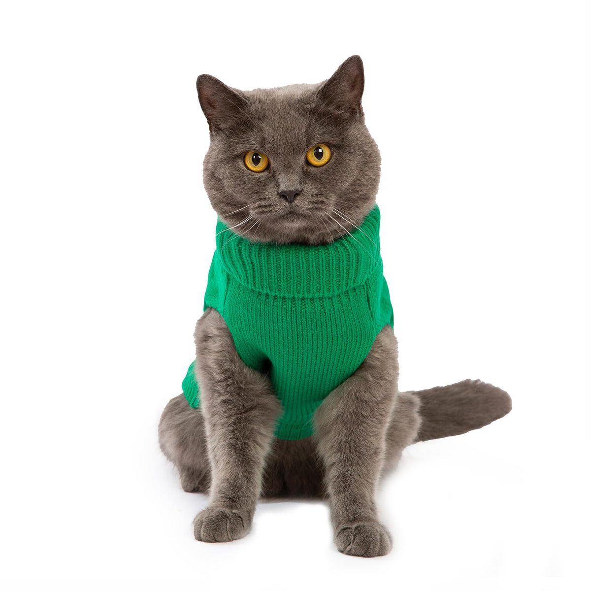 Cat Sweater Stretchy (Dark Green / Large)