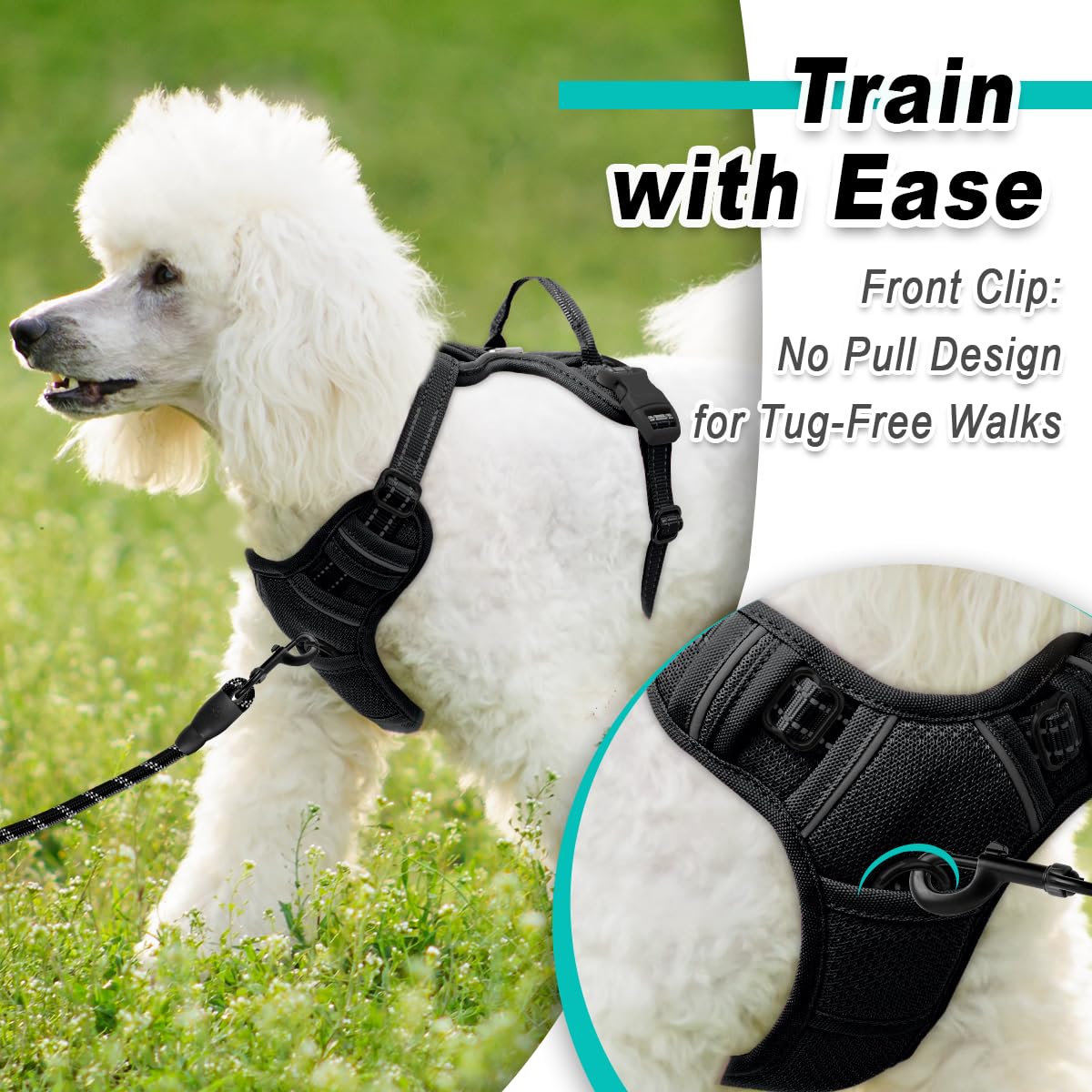 Dog Harness for Small Sized Dog No Pull Mesh 2 Clips Dog Vest (Black-Mesh / Small)
