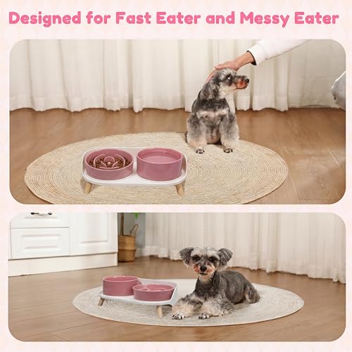 Elevated Slow Feeder Dog Bowls with Splash Proof Stand (Medium / Pink)
