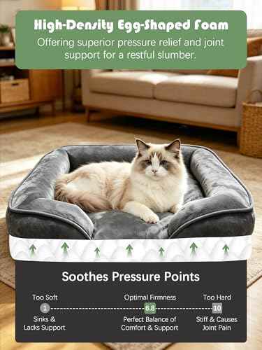 Orthopedic Dog Bed with Sides (24.0"L x 18.0"W x 6.0"Th / Dark Grey)