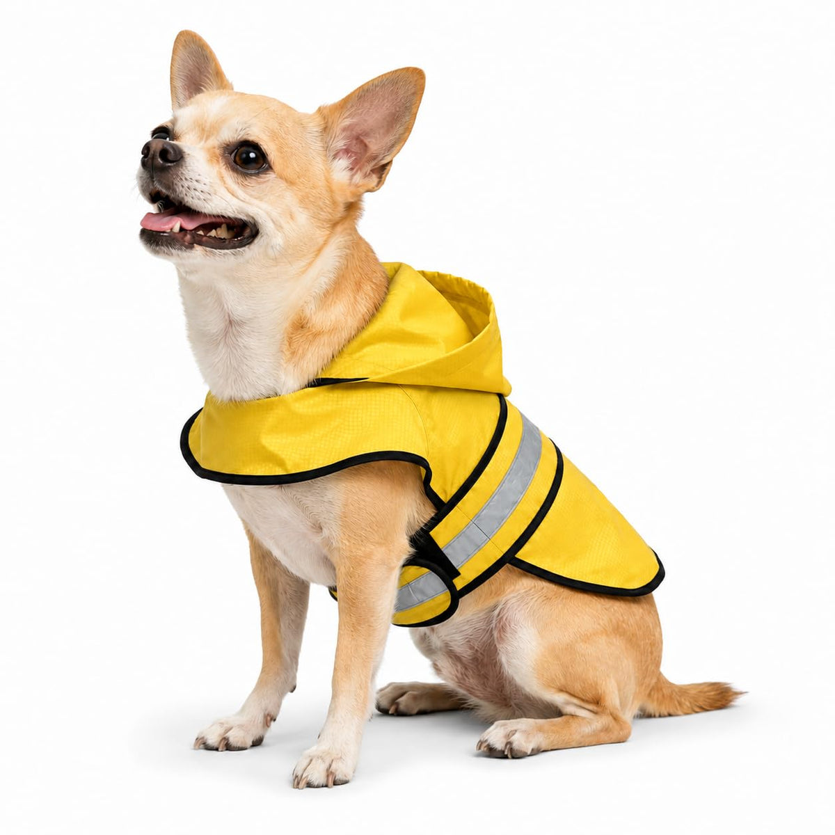 Dogg Toggs Raincoat (Yellow / X-Small)