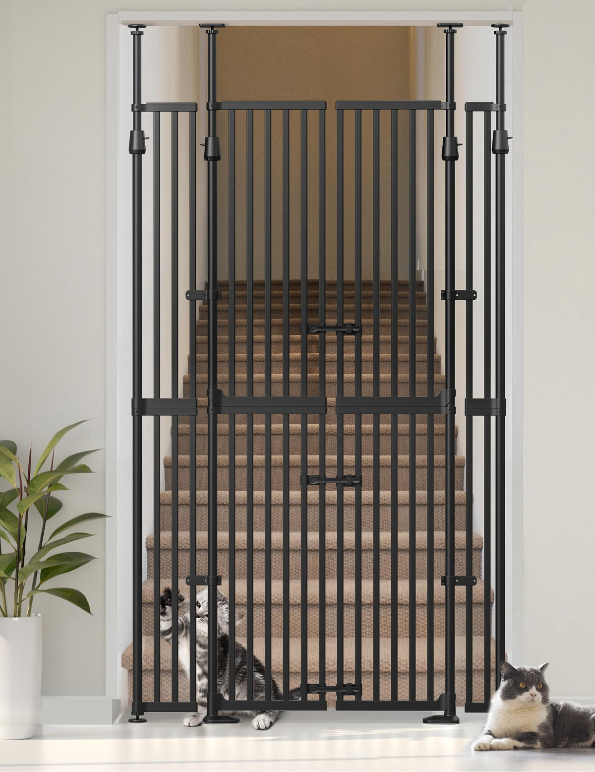 Extra Tall Cat Gate for Doorway (Black：74.8"-90.5" H x 30.3"-47.2" W)