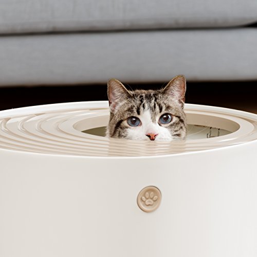Top Entry Cat Litter Box (Top Entry / Biege)