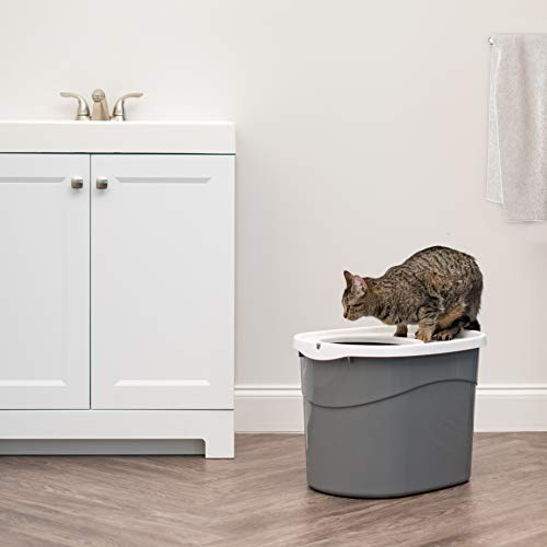 Top Entry Cat Litter Box (Oval / Gray w/ Scoop)