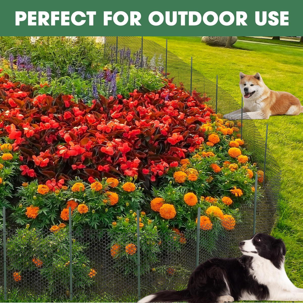Animal Barrier Fence 12in x 66ft No Dig Garden Fence Mesh Fencing with Steel Stake Movable Portable Temporary for Poultry Dogs Rabbits Chicken Snake Barrier Garden Backyard Outdoor (12in x 66ft)