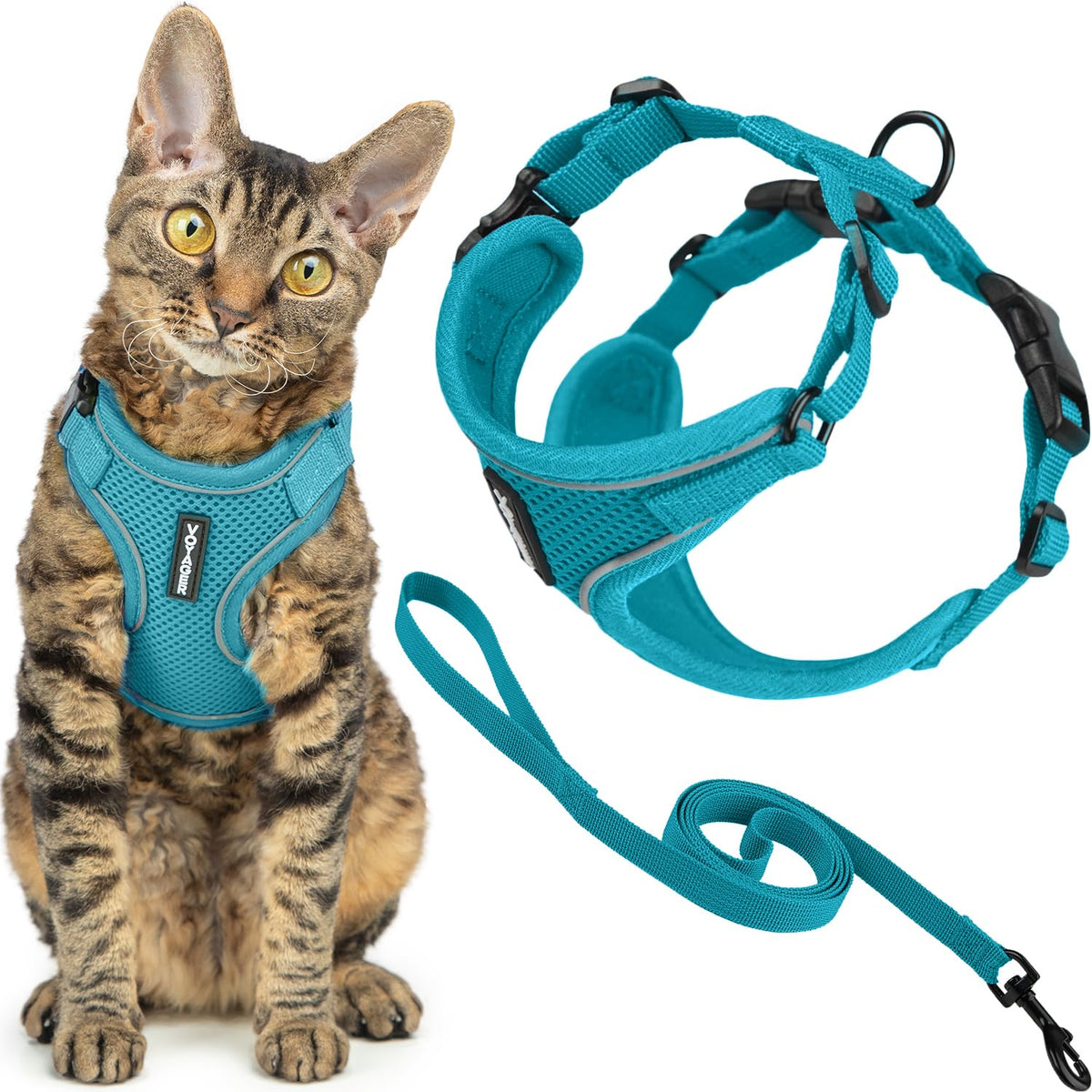 Voyager Escape (Turquoise (327) / XXS (Chest: 11.5 - 14"))