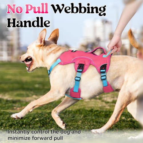 Escape Proof Dog Harness for Large (Sky & Peach & Rose / Large)