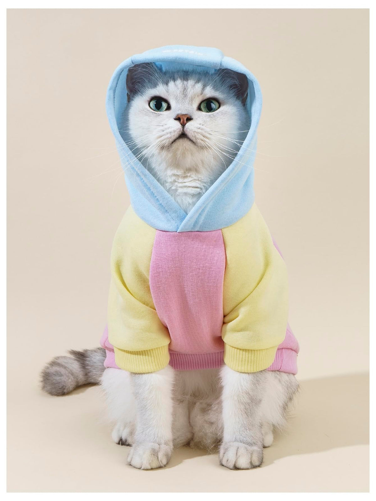 Basic Dog Hoodie Sweatshirt Puppy Sweater Warm Cat Costumes Pet Clothes for Chihuahua Puppy Kitten Small Medium Dogs Pink Large (Large / Pink)