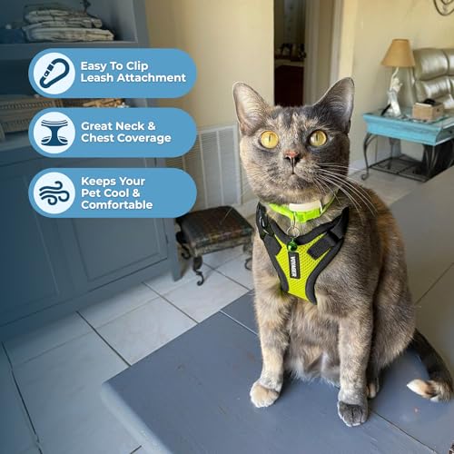 Voyager Step in Lock Cat Harness & Leash Set (Lime Green/Black Trim / XS (Chest: 13 - 16"))