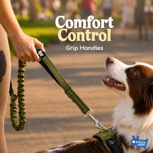 Dog Running Leash Hands Free (Olive)