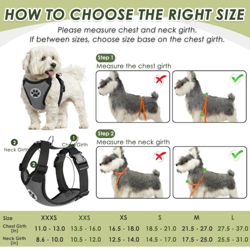 Dog Seat Belt and Harness for Car (Grey / Small)