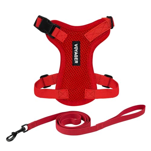 Voyager Step in Lock Cat Harness & Leash Set (Red / S (Chest: 15 - 18"))