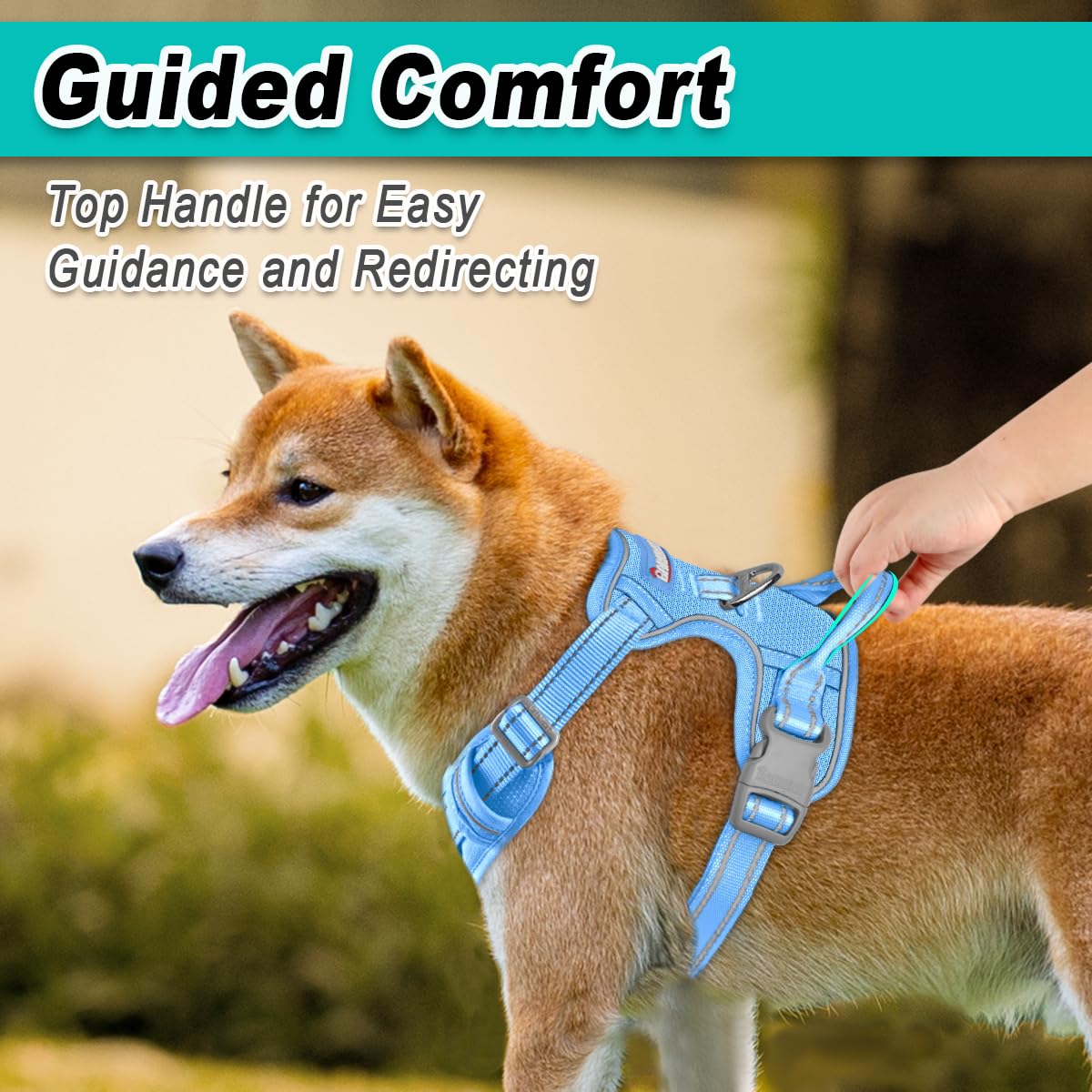 Dog Harness for Large Dog No Pull Mesh 2 Clips Dog Vest (Blue-Mesh / Large)