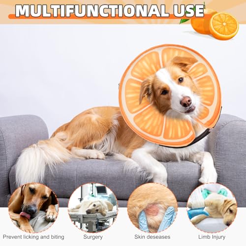 Inflatable Dog Cone Collar Alternative After Surgery (Orange / M+ (Neck:13-15in))
