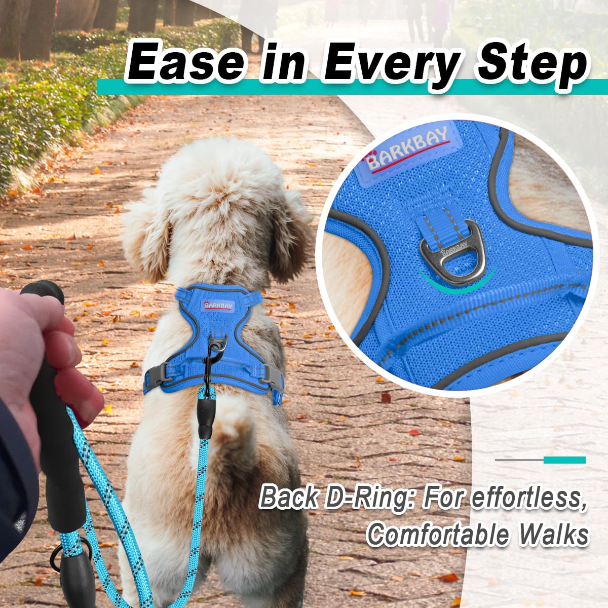 Dog Harness for Small Sized Dog No Pull Mesh 2 Clips Dog Vest (Blue-Mesh / Small)