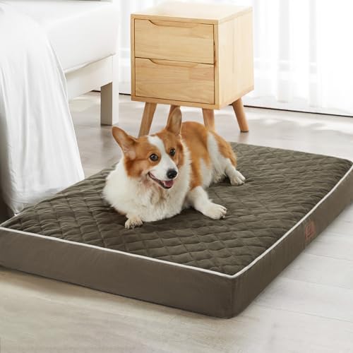 Orthopedic Waterproof Large Dog Bed for Crate Cozy Sleep (Dark Green / 35"L x 22"W x 3"Th)