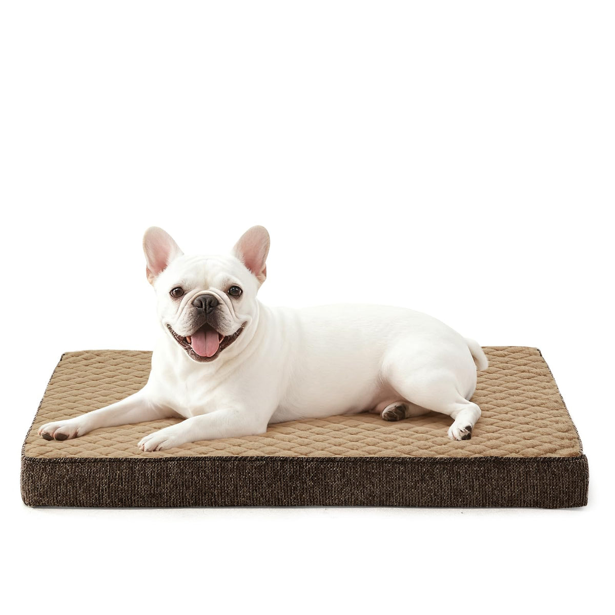 Orthopedic Dog Bed for Small Dogs (S(23"x17") / Brown)