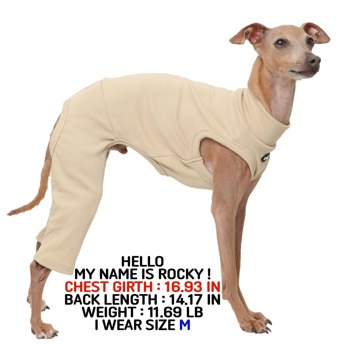 D Doggy Star Italian Greyhound Clothes High (M / COORDI BEIGE)