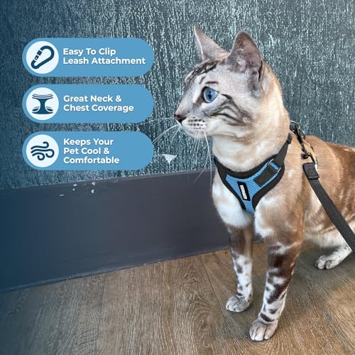 Voyager Step in Lock Cat Harness & Leash Set (Baby Blue/Black Trim / XXS (Chest: 11.5 - 14"))