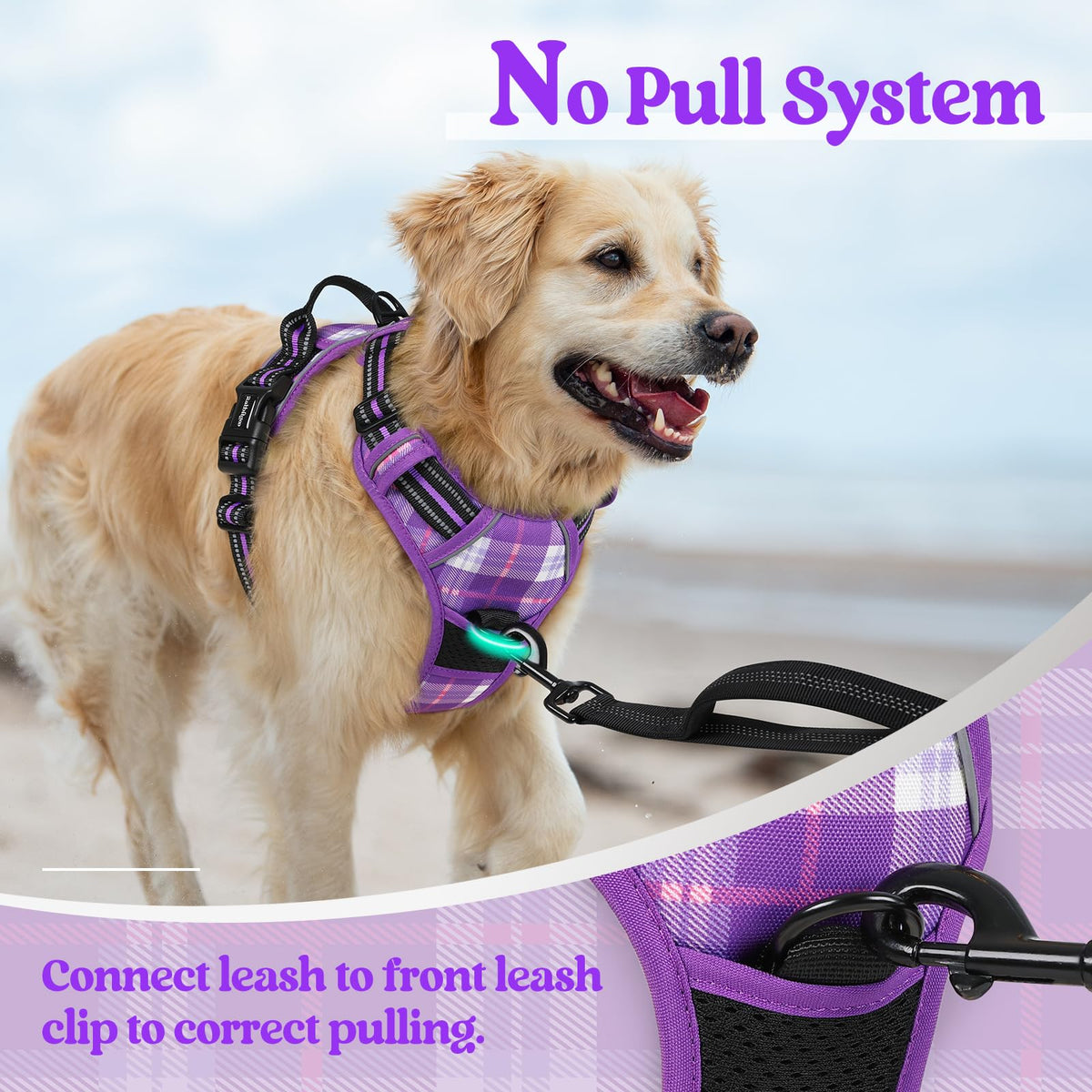 Dog Harness No Pull for Small Dogs with 2 Leash Clips (Small / Purple Plaid)
