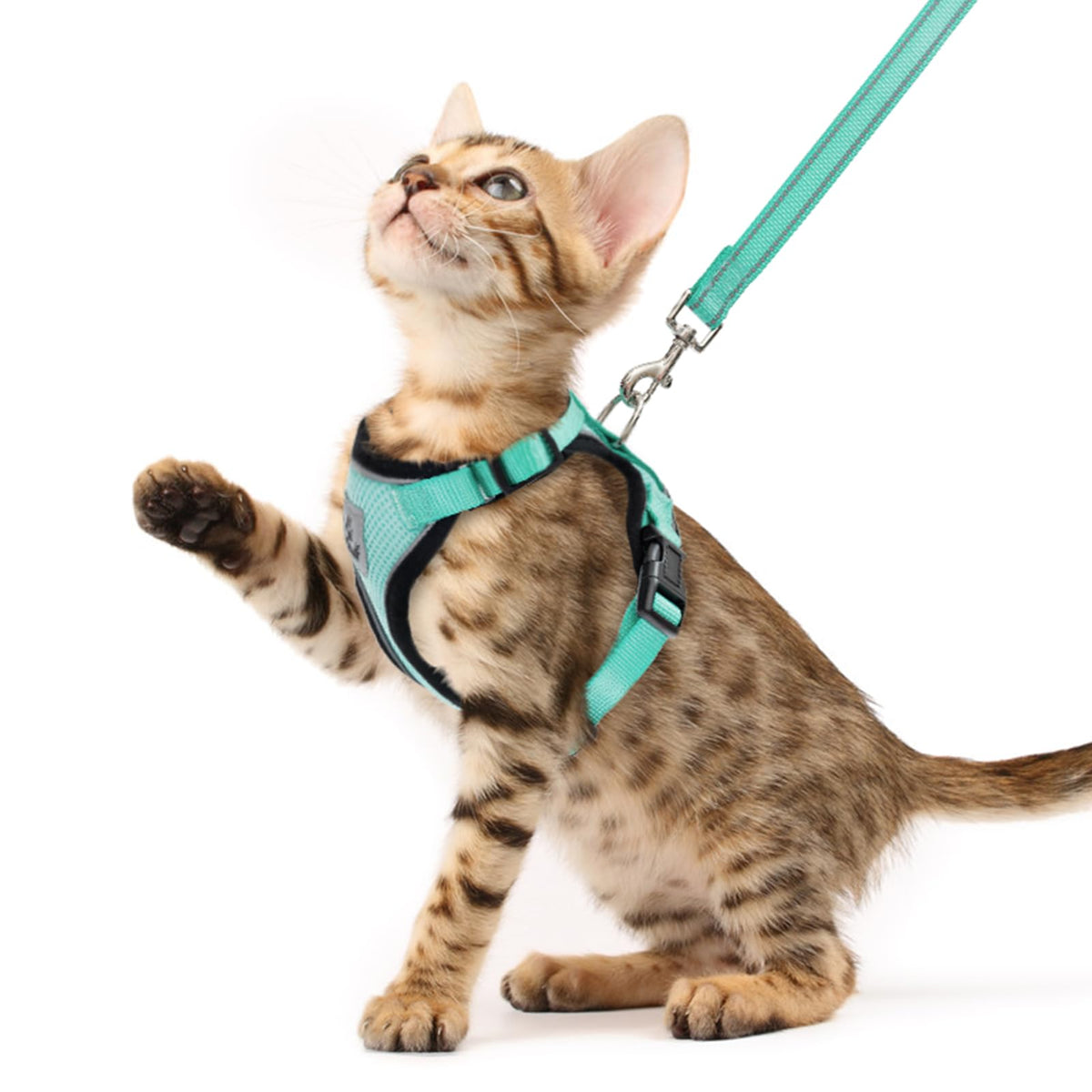 Cat Harness and Leash Set Escape Proof Reflective Cat Walking Harness Adjustable Soft Breathable Mesh Vest for Small Pets (XS (NECK 8.5", CHEST 11"-14") / Aquamarine)