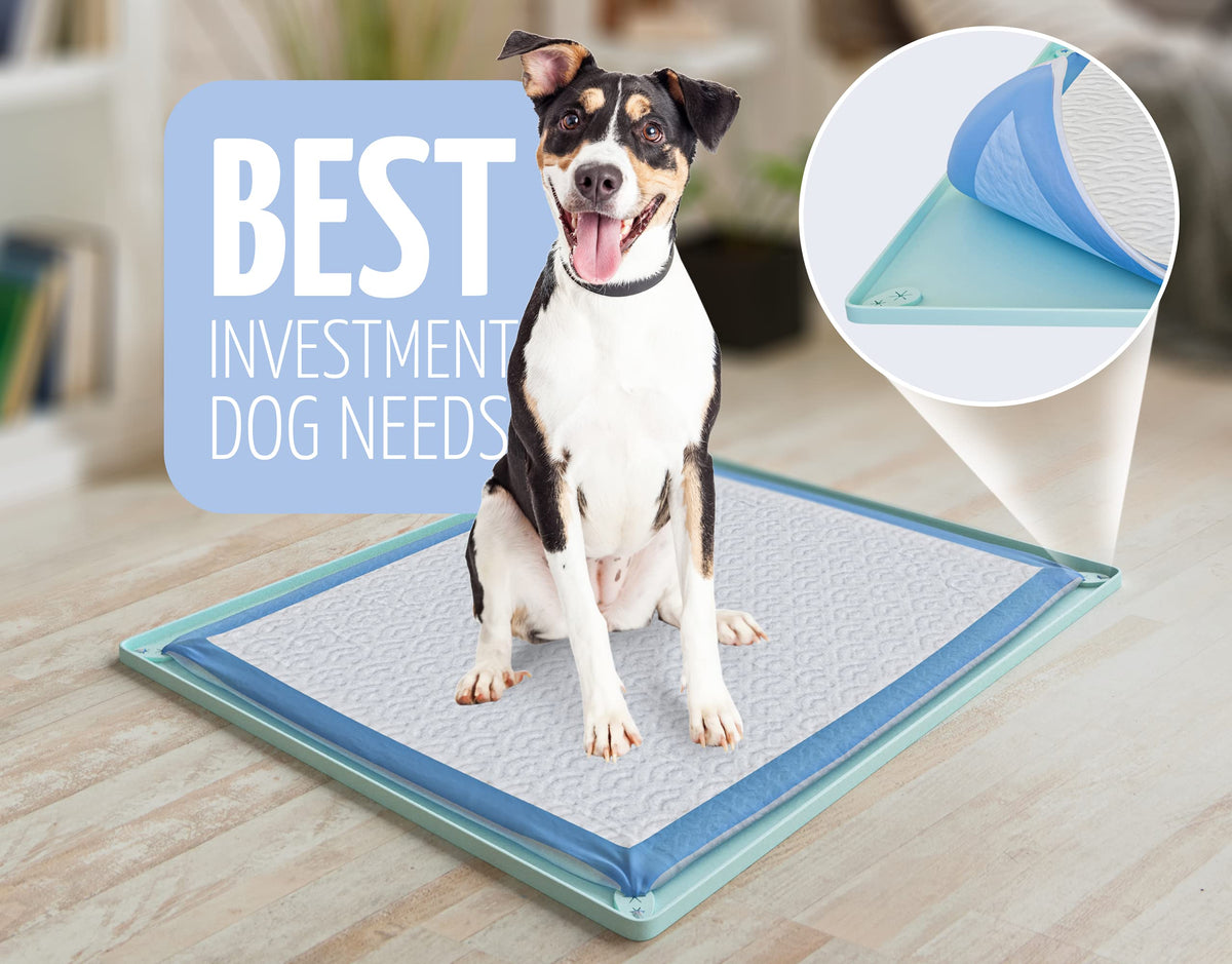 Dog Pee Pad Holder Tray Fits for 30” x 23” Pee Pads (30 x 23 Inches / Turquoise)