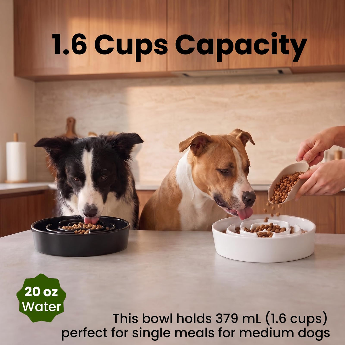 2 Pack Ceramic Slow Feeder Dog Bowls 1.6 Cups for Medium & Small Fast Eater (White + Black / 2 Pack M - 1.6 Cups)