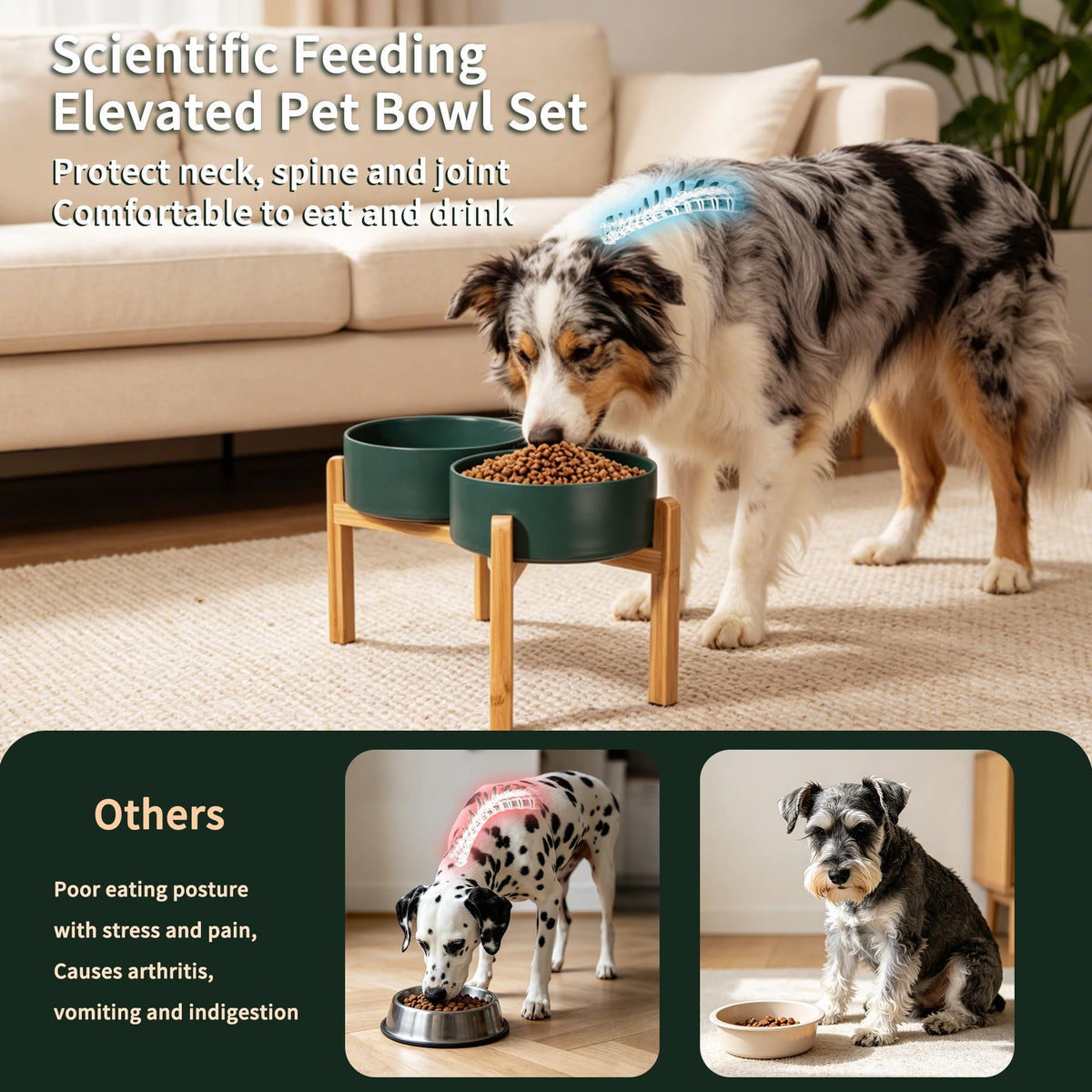 Elevated Ceramic Dog Bowl Set (Green / Large)