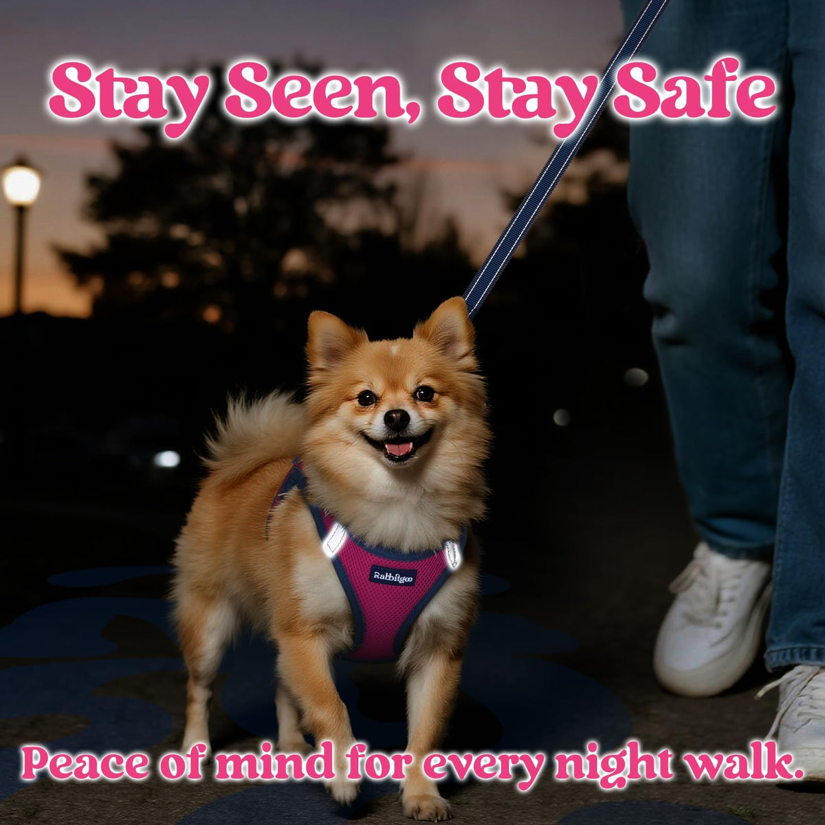 Dog Harness Small Sized and Leash Set (Rose Red & Navy Blue / XS (Chest: 13.3"-15.5"))