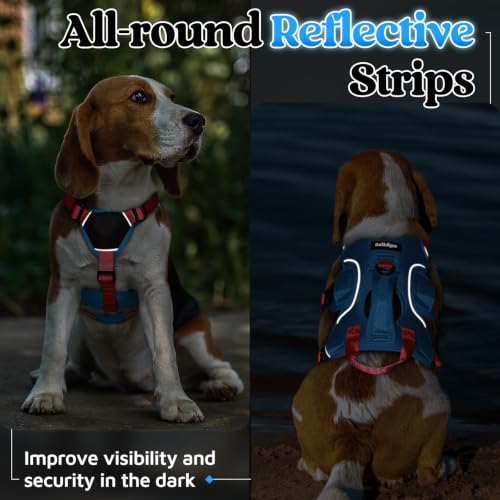Escape Proof Dog Harness for Small (Red & Blue / Small)