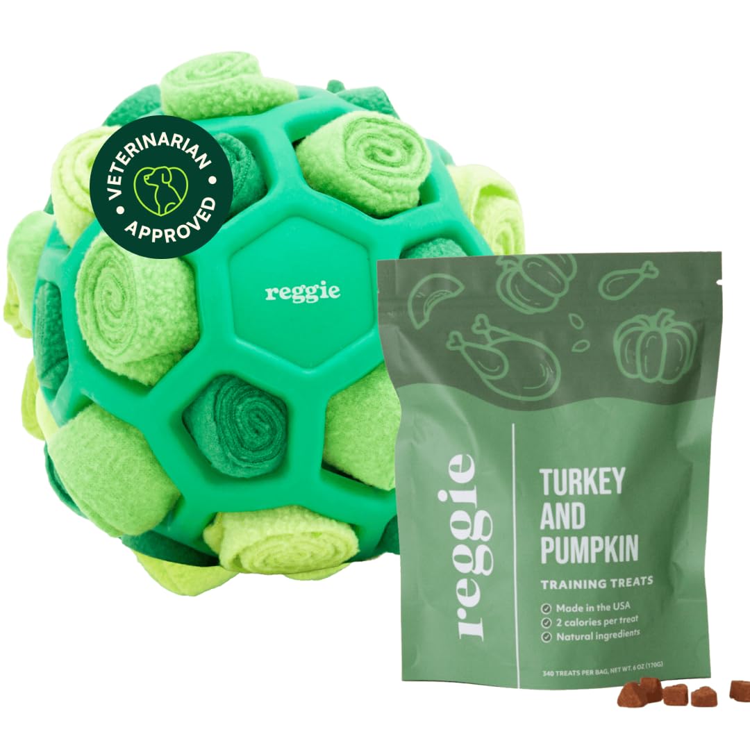 Dog Training Treats with Enrichment Toy (Forager Ball - Turkey & Pumpkin)