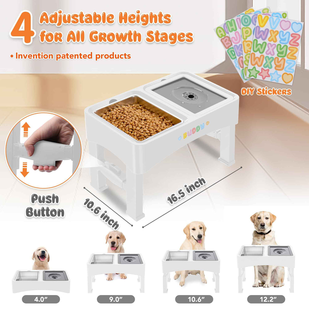 3-in-1 Elevated Dog Bowls with 4 Height Adjustable Raised Stand (White / 3-in-1 Dog Bowls Set)
