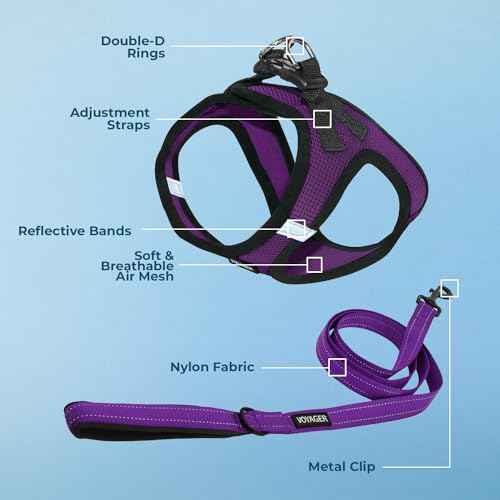 Voyager Step in Air All Weather Mesh Harness and Reflective Dog 5ft Leash Combo with Neoprene Handle (Purple/Black Trim / S (Chest: 14.5 - 16"))