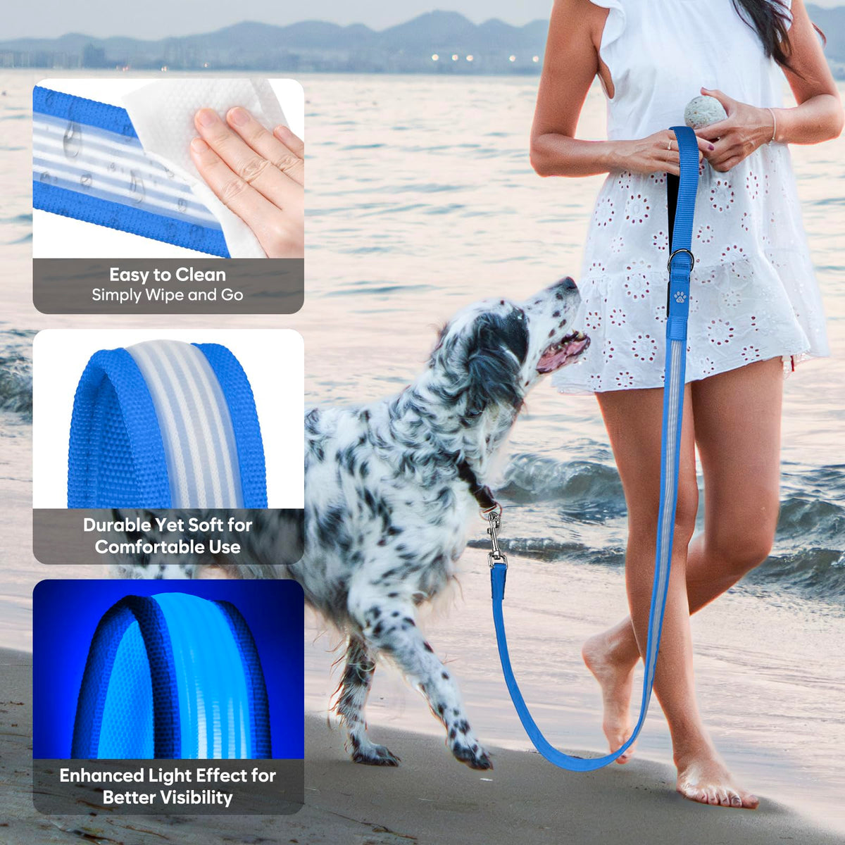 4 Ft Multi Color Light up Dog Leash (Multi-Color / 4 FT (Blue))
