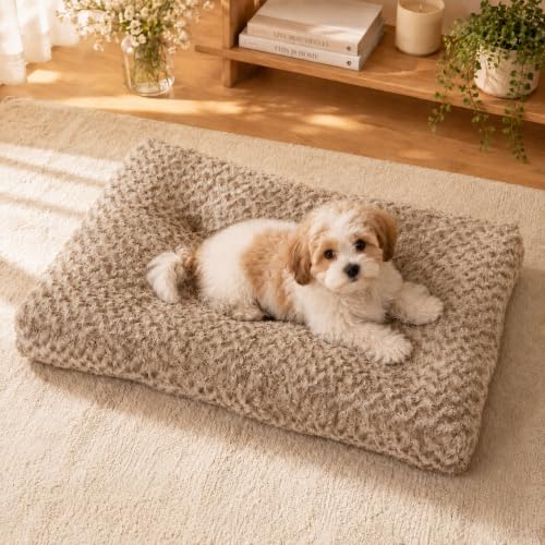 Dog Bed Medium Size (Camel / 29"L x 21"W x 3"Th)