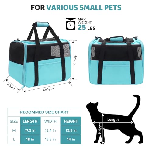 JUNGYOUN Premium Cat Carrier (Blue / 18.0"L x 12.5"W x 14.2"H)