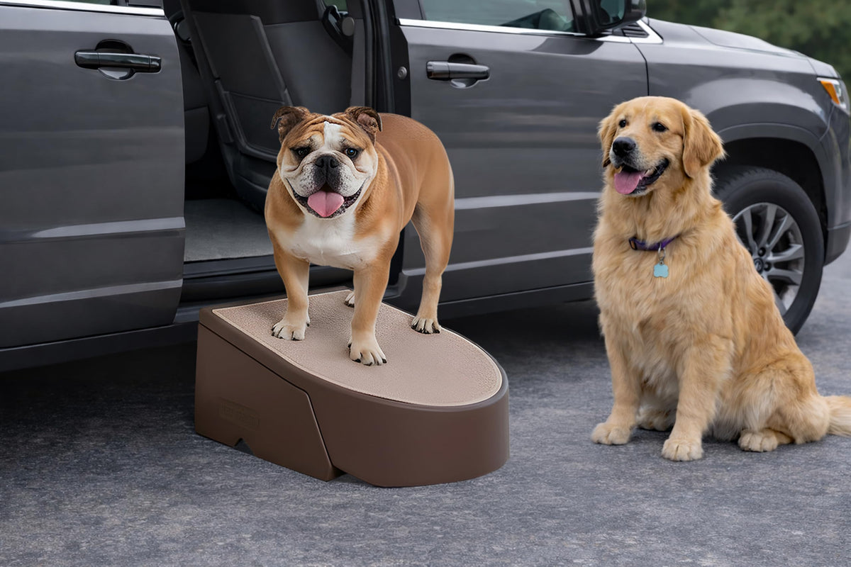 One Step for Dogs (Dark Brown)