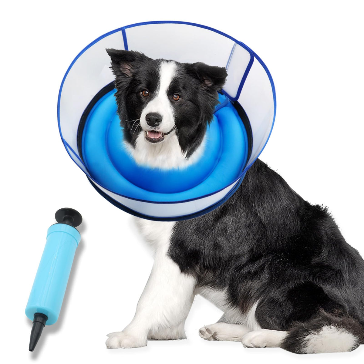 Inflatable Dog Cone Collar (Medium / Blue)