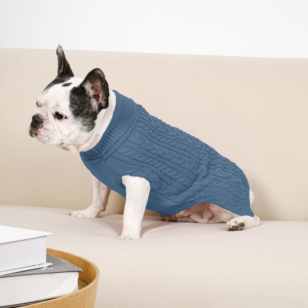 Dog Sweater 2 Pack for Medium Dogs (Navy & Blue / Large)