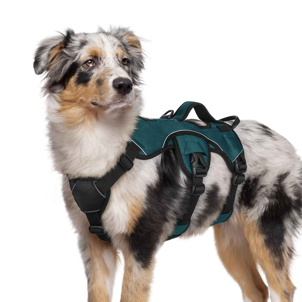 Escape Proof Dog Harness for Medium (Dark Green / Medium)